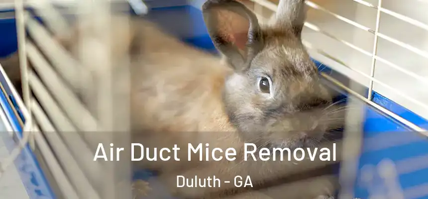 Air Duct Mice Removal Duluth - GA