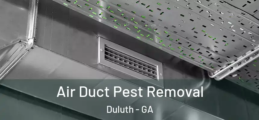  Air Duct Pest Removal Duluth - GA