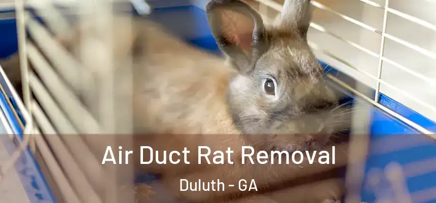  Air Duct Rat Removal Duluth - GA
