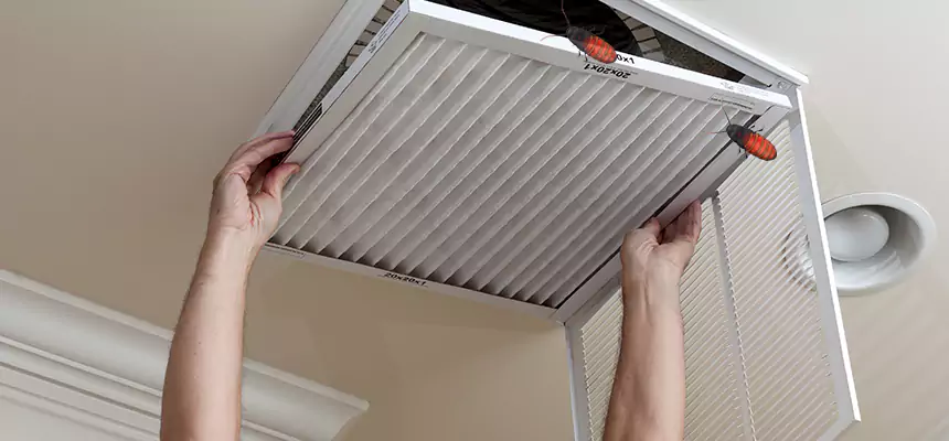 Preventive Cockroach-Proofing for Ducts in Duluth