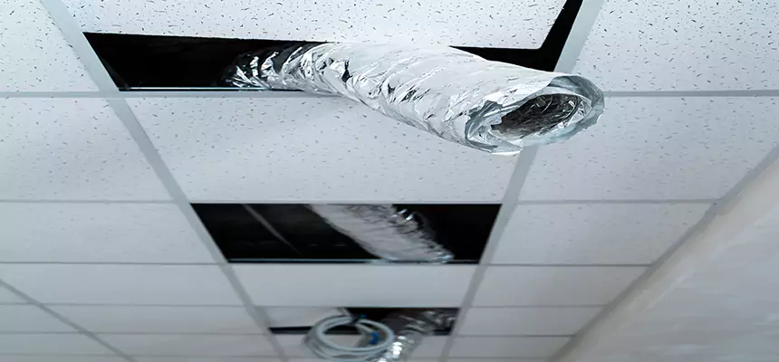 Our Air Duct Pet Hair Removal Services in Duluth, GA