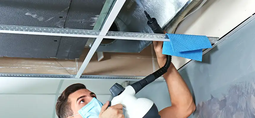 Our Air Duct Rodent Removal Services in Duluth, GA