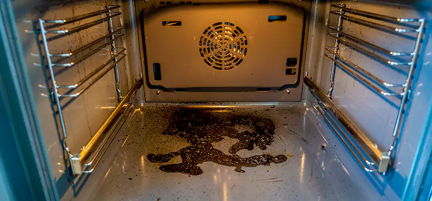 Our Dryer Vent Mold Cleaning Services in Duluth, GA