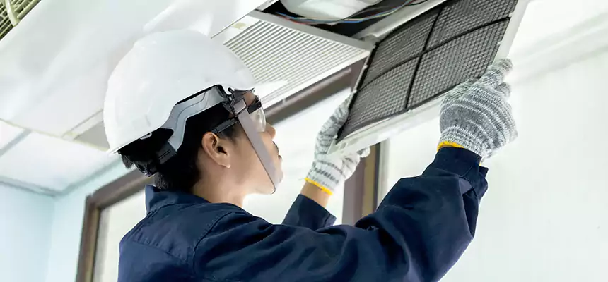 Our Mold & Mildew Removal from Air Ducts Services in Duluth, GA