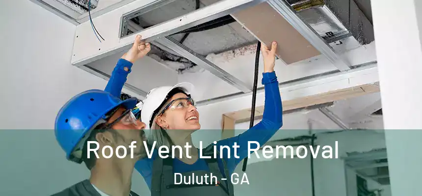  Roof Vent Lint Removal Duluth - GA