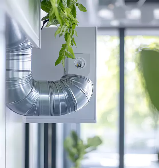 Professional Eco-Safe Dryer Vent Cleaning in Duluth, GA