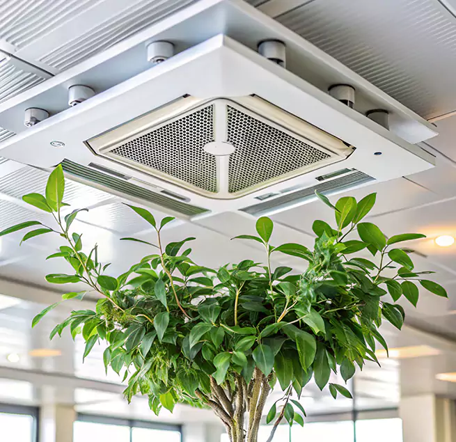 Why Homeowners & Businesses Trust Us in Duluth, GA?