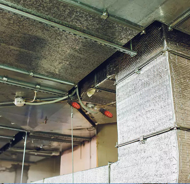 Why Homeowners & Businesses Trust Us Duluth, GA?